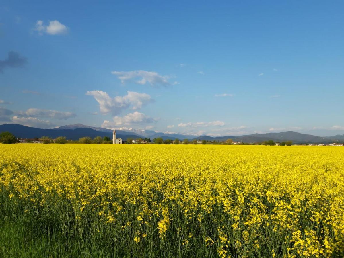 Premariacco Agriturismo Antica Corte Contadina מראה חיצוני תמונה